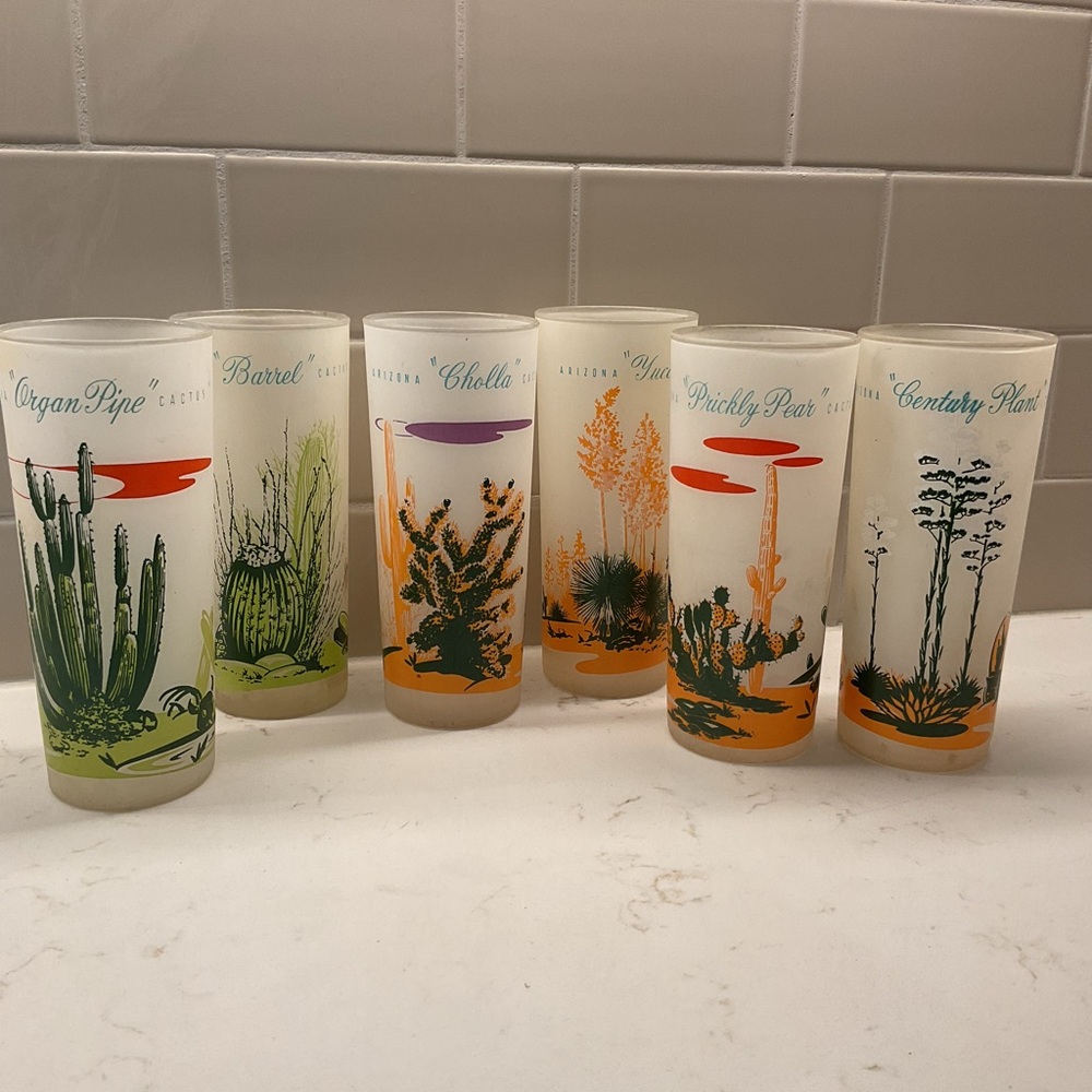 1950’s Blakey Oil & Gas frosted Arizona Cactus highball tumblers set of 6.